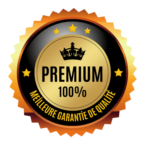 Gold Modern Premium Warranty Logo